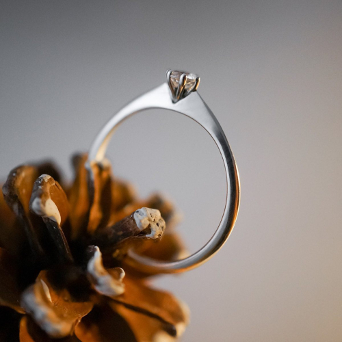 ringstudio