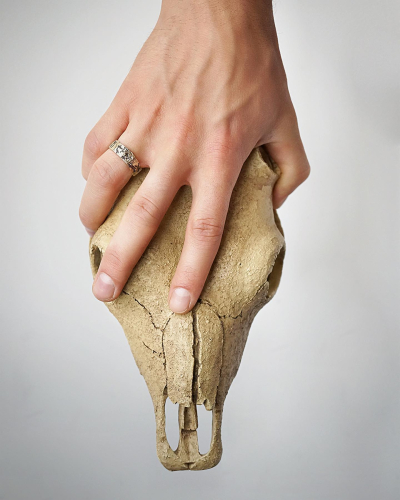 ringstudio