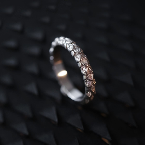 ringstudio