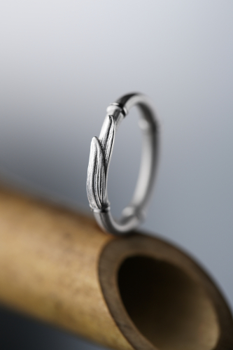 ringstudio