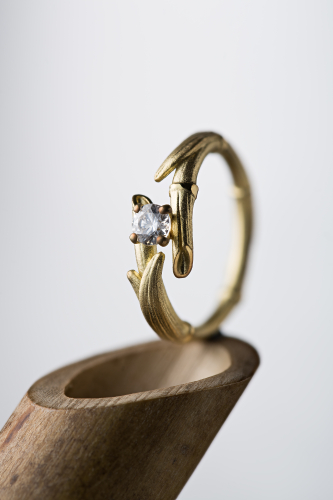 ringstudio