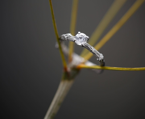 ringstudio