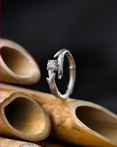 ringstudio