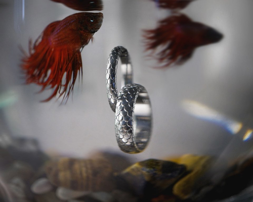 ringstudio