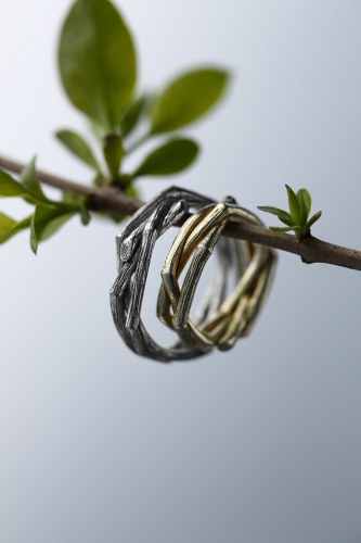 ringstudio