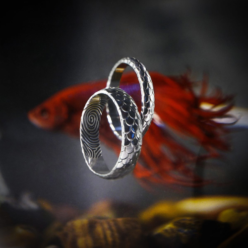 ringstudio